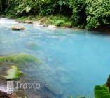 Bosque Monteverde