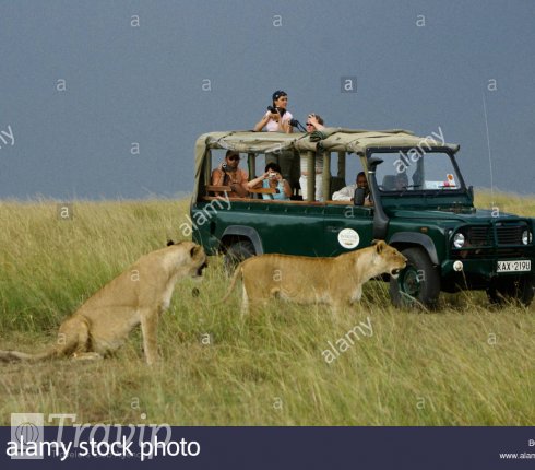 masai mara