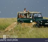 masai mara